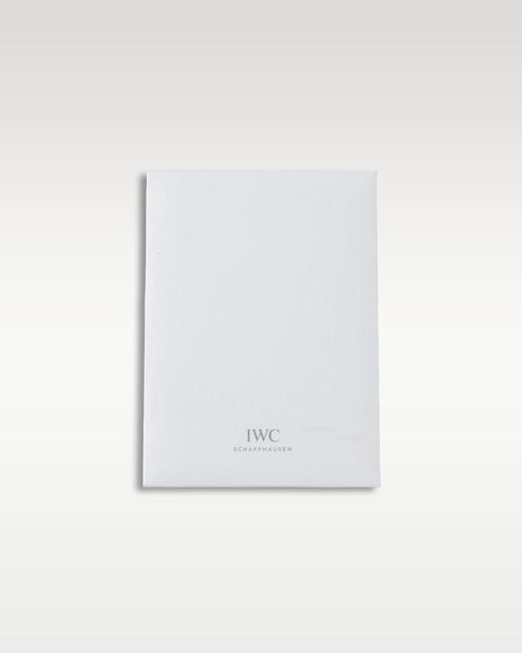 IWC Pilot's Chrono IW389105